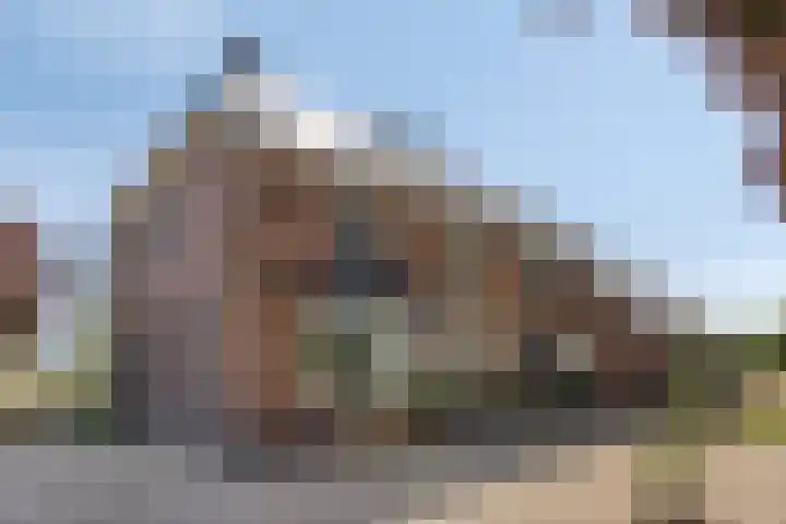 Beukenlaan 28 Sterksel thumbnail 4