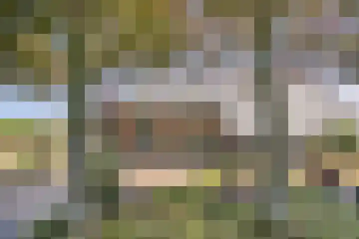 Beukenlaan 28 Sterksel thumbnail 46