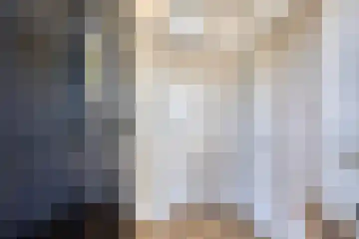 Beukenlaan 28 Sterksel thumbnail 6