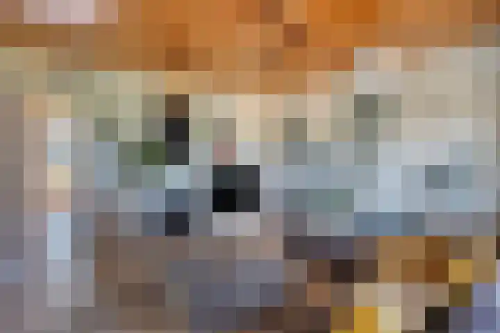 Beukenlaan 28 Sterksel thumbnail 8