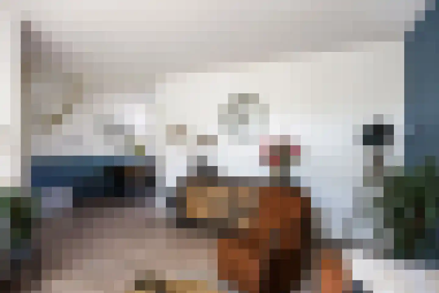 Beukenlaan 29 Marum thumbnail 18
