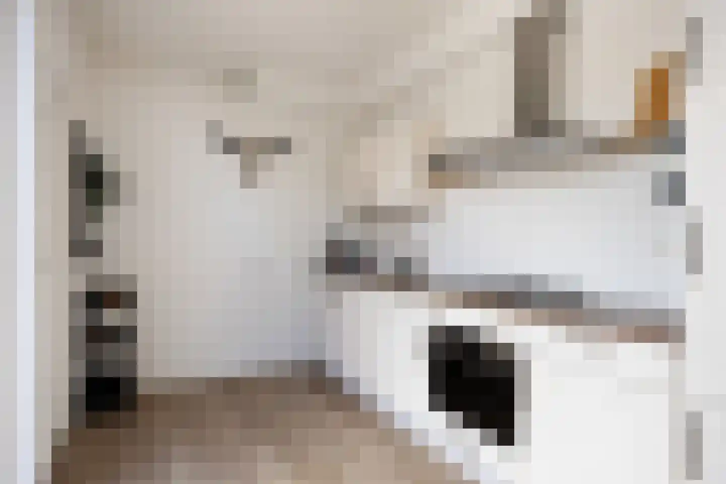 Beukenlaan 29 Marum thumbnail 24
