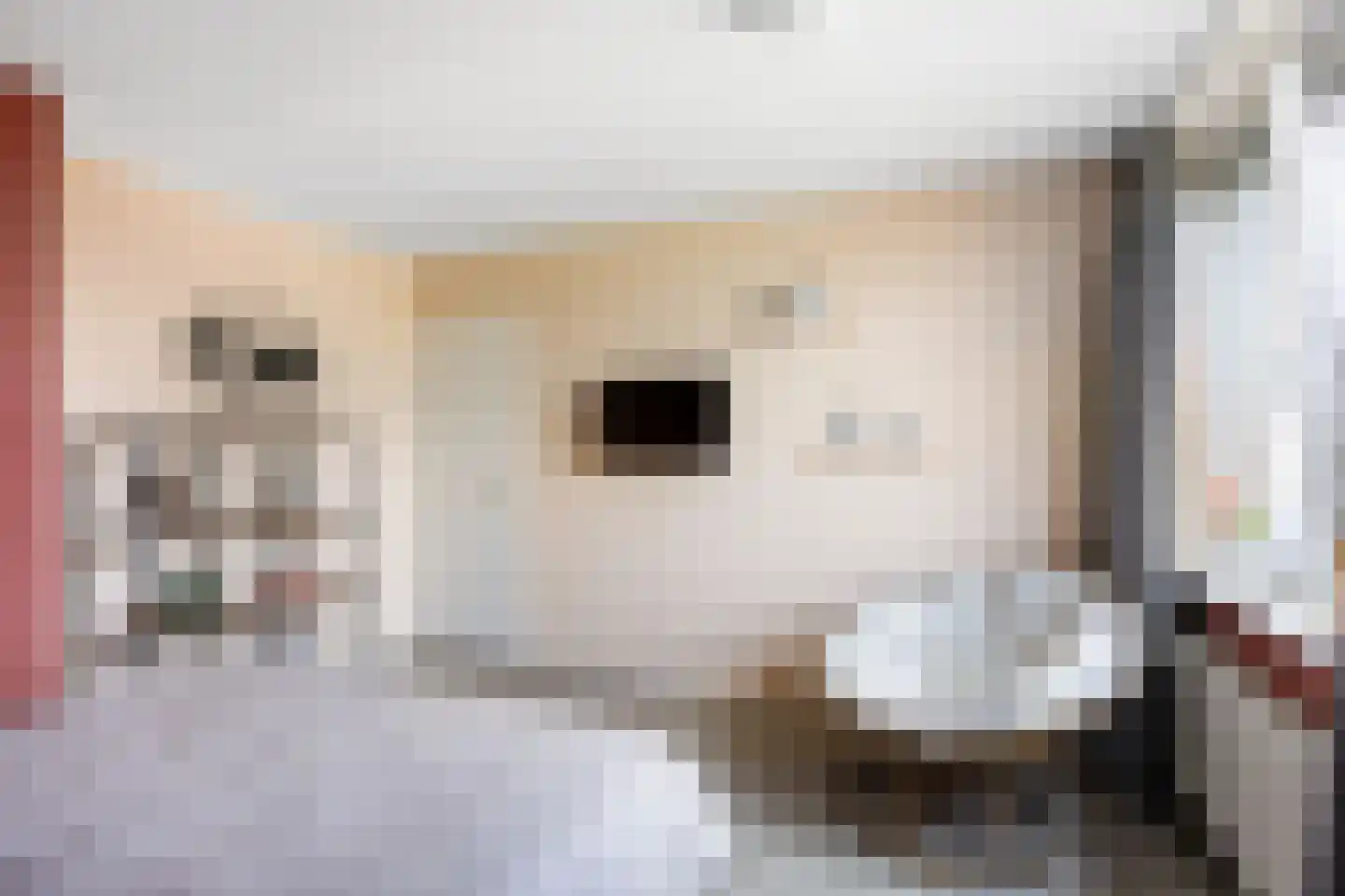 Beukenlaan 29 Marum thumbnail 32
