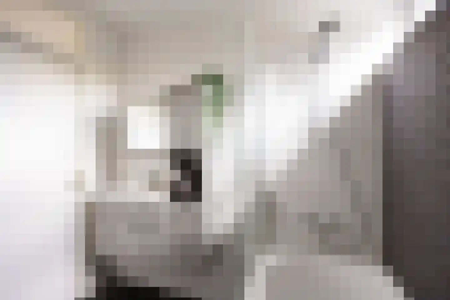 Beukenlaan 29 Marum thumbnail 40