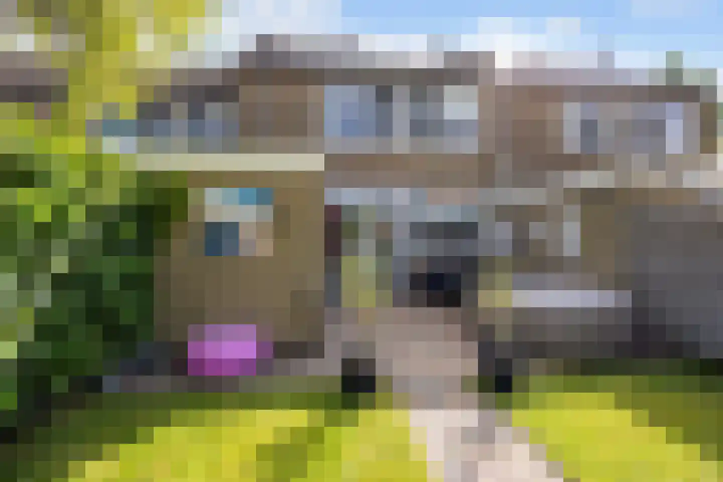 Beukenlaan 29 Marum thumbnail 49