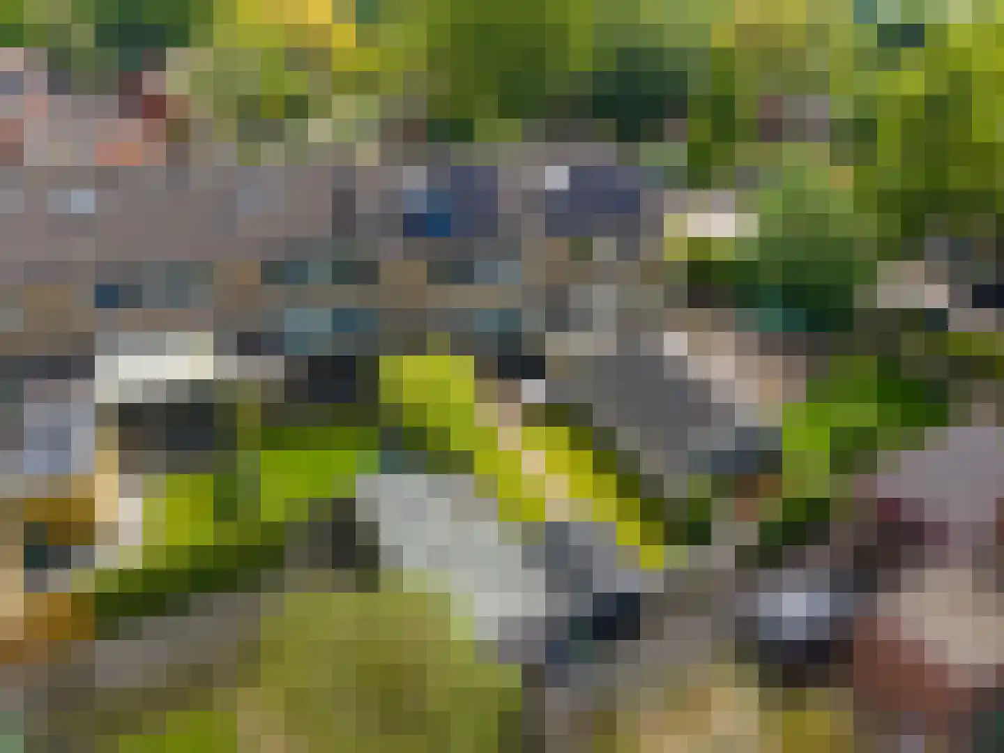 Beukenlaan 29 Marum thumbnail 52