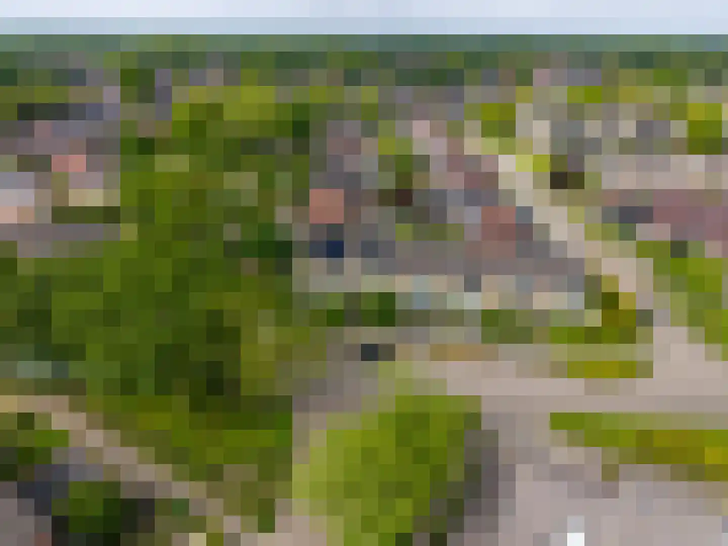 Beukenlaan 29 Marum thumbnail 53