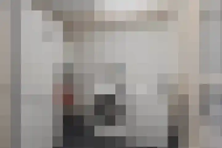 Beukenlaan 29 Middenmeer thumbnail 13