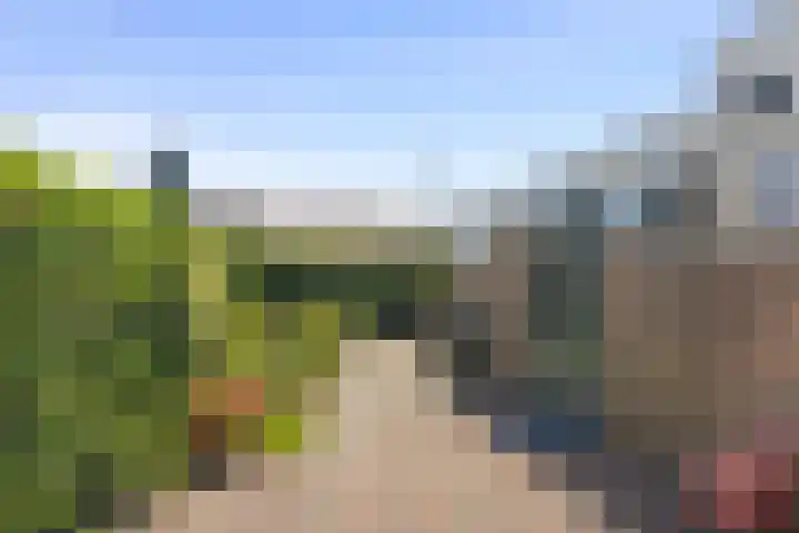 Beukenlaan 29 Middenmeer thumbnail 22