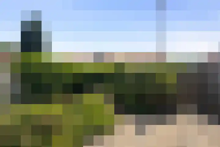 Beukenlaan 29 Middenmeer thumbnail 23