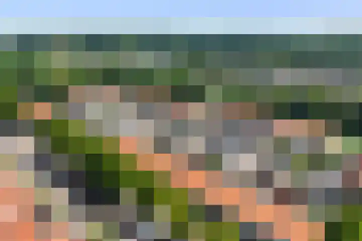 Beukenlaan 29 Middenmeer thumbnail 25