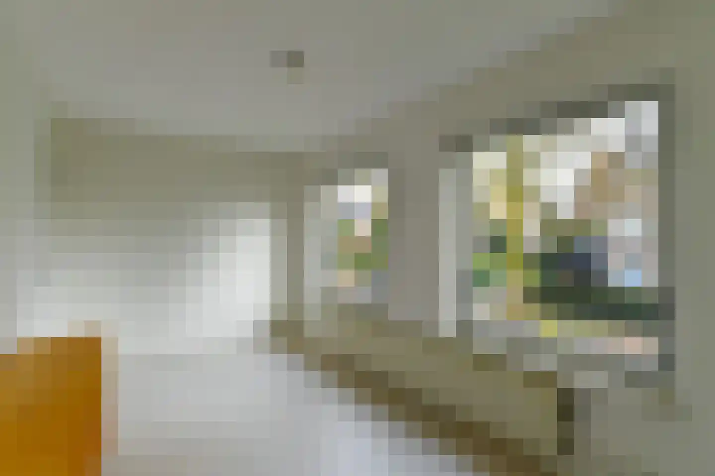 Beukenlaan 29 Oosterbeek thumbnail 41