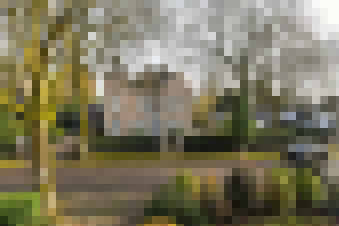 Beukenlaan 29 Oosterbeek thumbnail 47