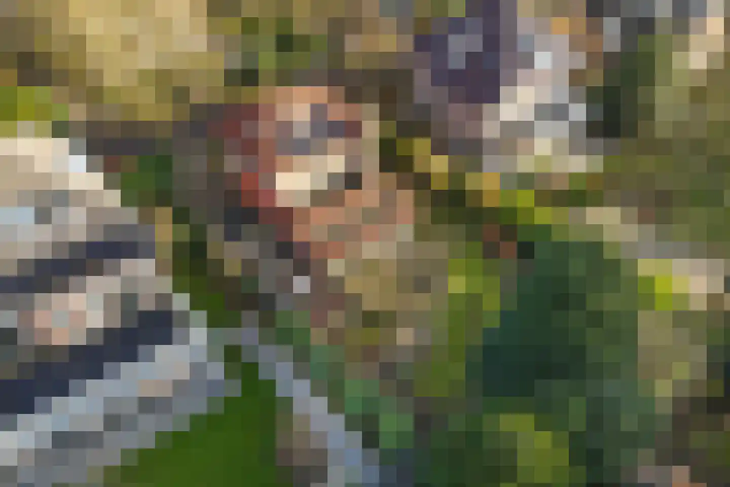 Beukenlaan 29 Oosterbeek thumbnail 59