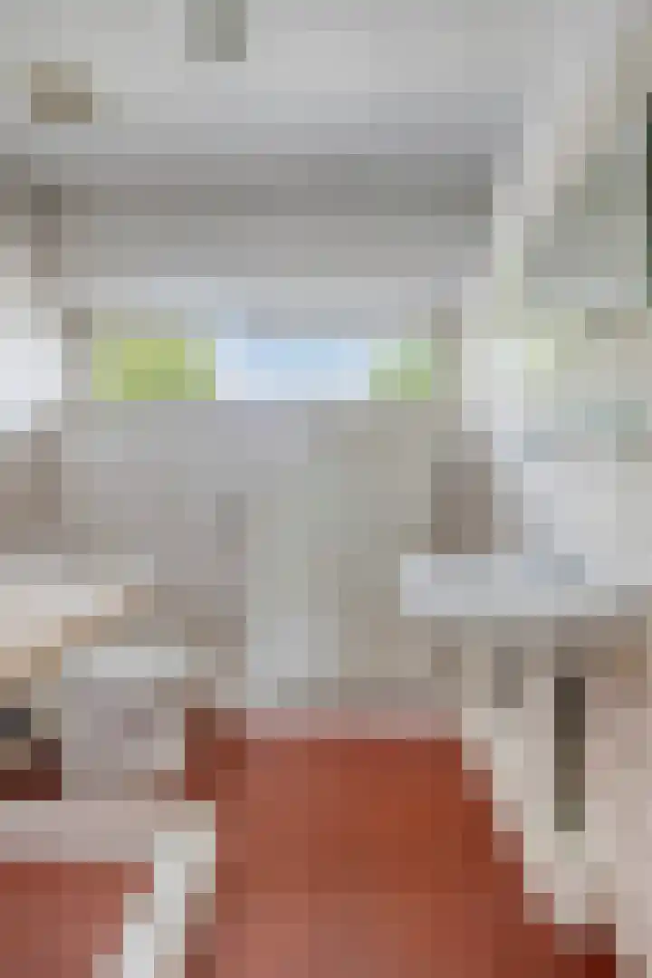 Beukenlaan 29 Schagen thumbnail 17