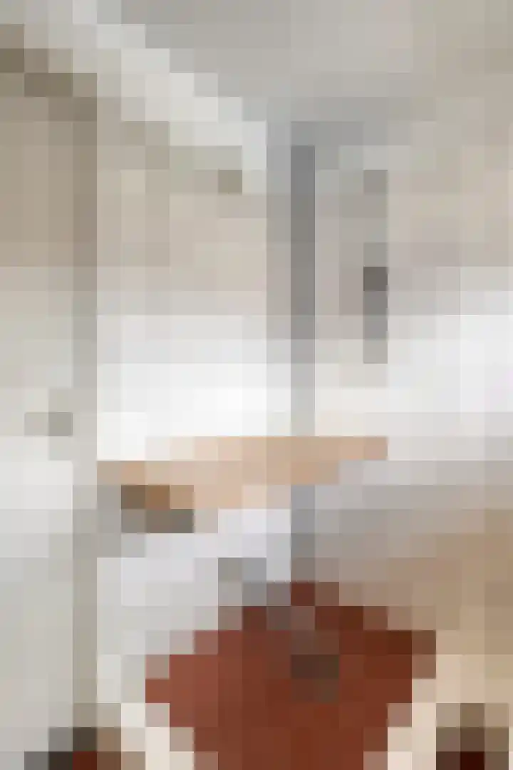 Beukenlaan 29 Schagen thumbnail 18