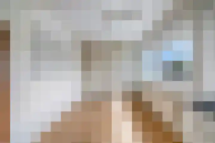 Beukenlaan 29 Schagen thumbnail 19
