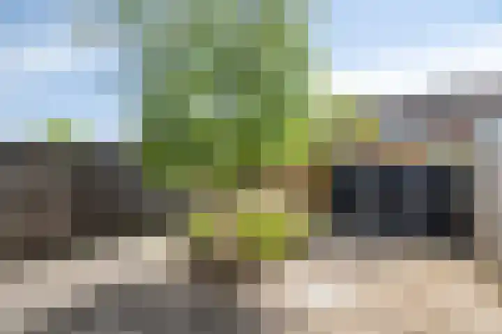 Beukenlaan 29 Schagen thumbnail 25