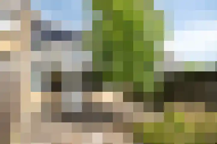Beukenlaan 29 Schagen thumbnail 26