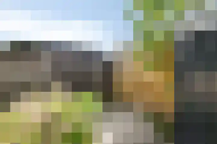 Beukenlaan 29 Schagen thumbnail 27