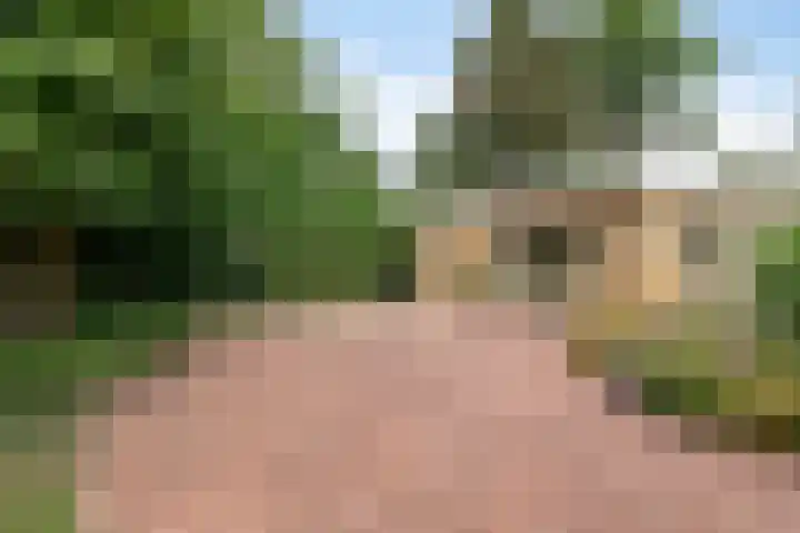 Beukenlaan 3 Heesch thumbnail 11