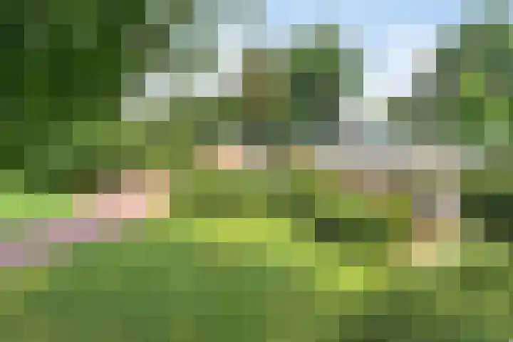 Beukenlaan 3 Heesch thumbnail 13