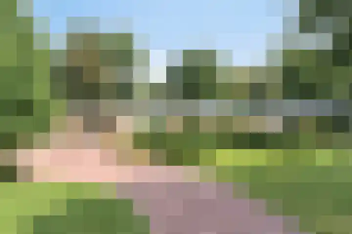 Beukenlaan 3 Heesch thumbnail 15