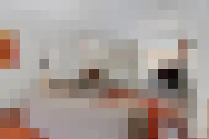 Beukenlaan 3 Heesch thumbnail 20