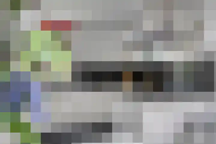 Beukenlaan 3 Heesch thumbnail 4