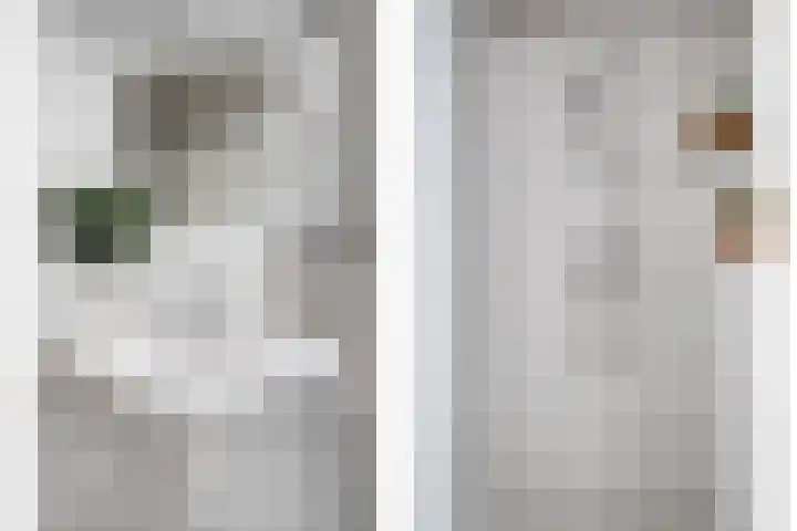 Beukenlaan 3 Heesch thumbnail 43
