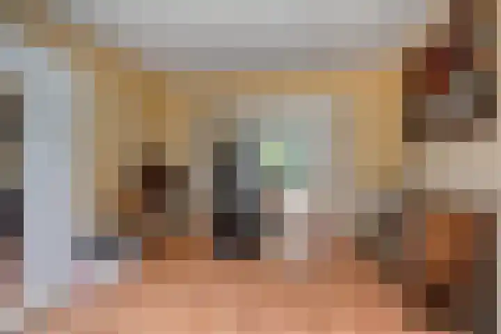 Beukenlaan 3 Heesch thumbnail 49