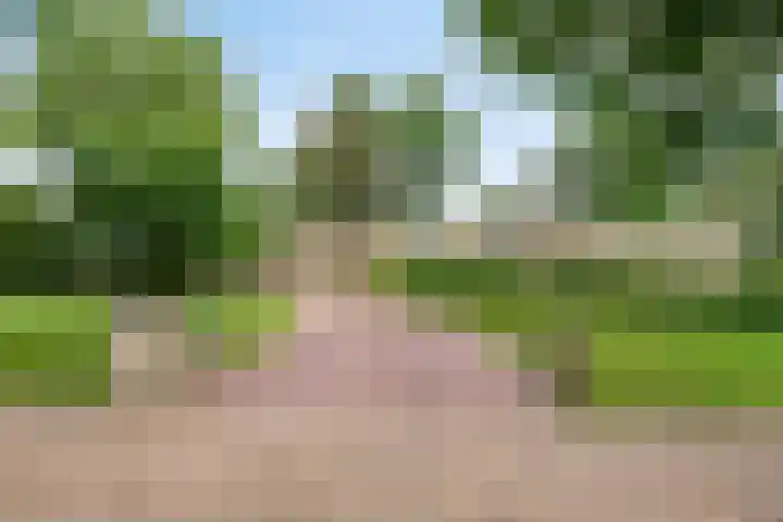 Beukenlaan 3 Heesch thumbnail 5