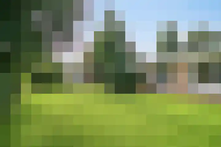 Beukenlaan 3 Heesch thumbnail 55
