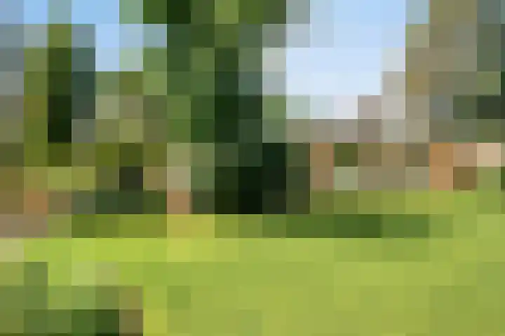 Beukenlaan 3 Heesch thumbnail 58