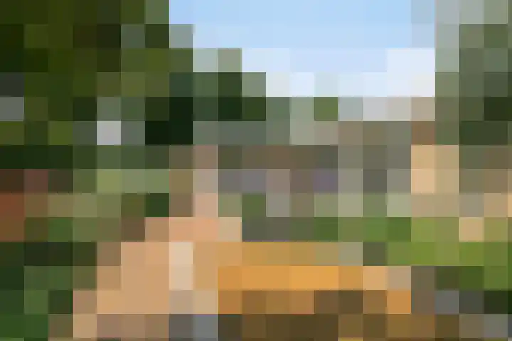 Beukenlaan 3 Heesch thumbnail 61