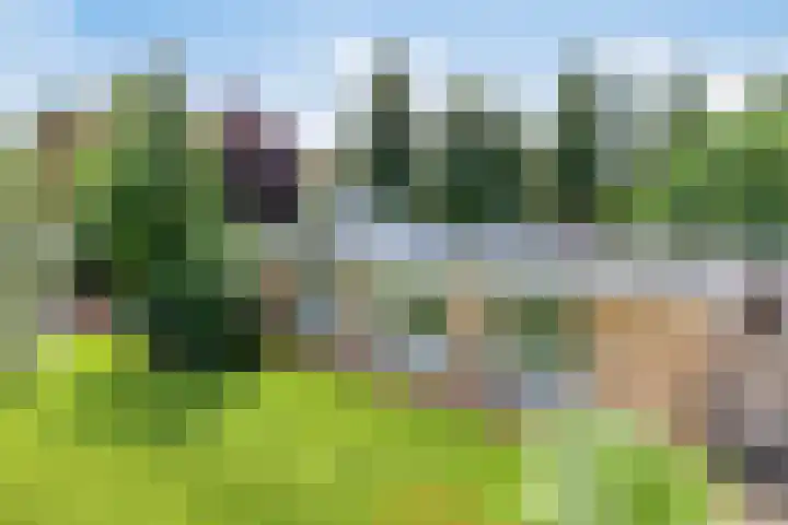 Beukenlaan 3 Heesch thumbnail 67
