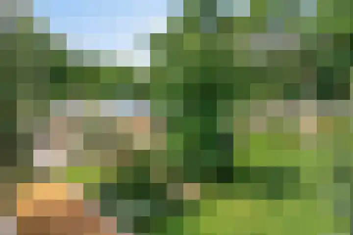 Beukenlaan 3 Heesch thumbnail 69