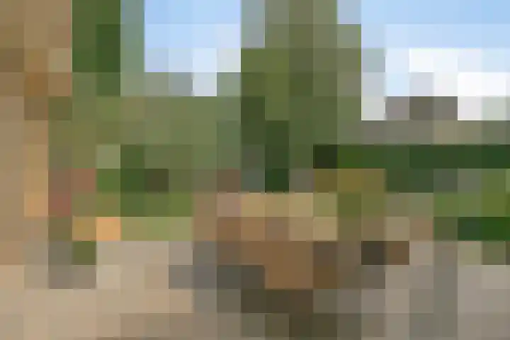 Beukenlaan 3 Heesch thumbnail 73