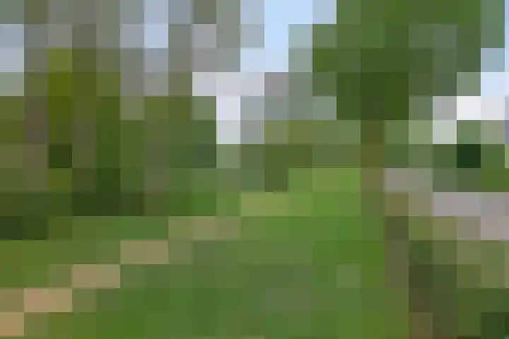 Beukenlaan 3 Heesch thumbnail 74