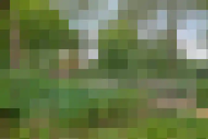 Beukenlaan 3 Heesch thumbnail 75