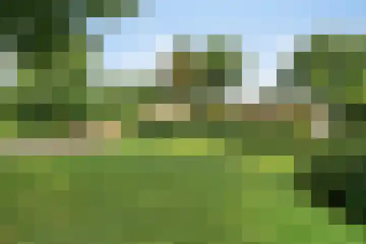 Beukenlaan 3 Heesch thumbnail 8