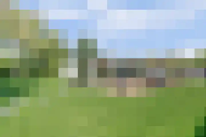 Beukenlaan 3 Kamperland thumbnail 10