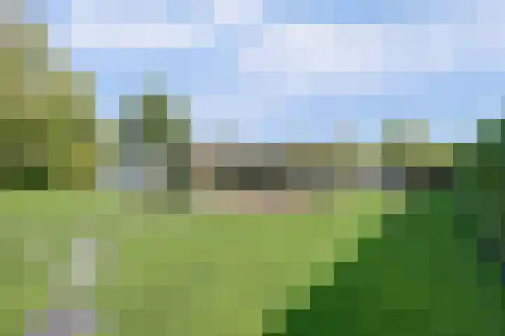 Beukenlaan 3 Kamperland thumbnail 11