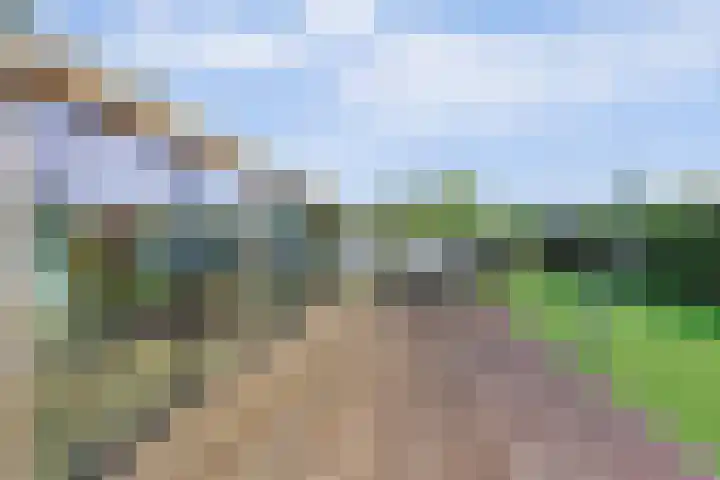 Beukenlaan 3 Kamperland thumbnail 12