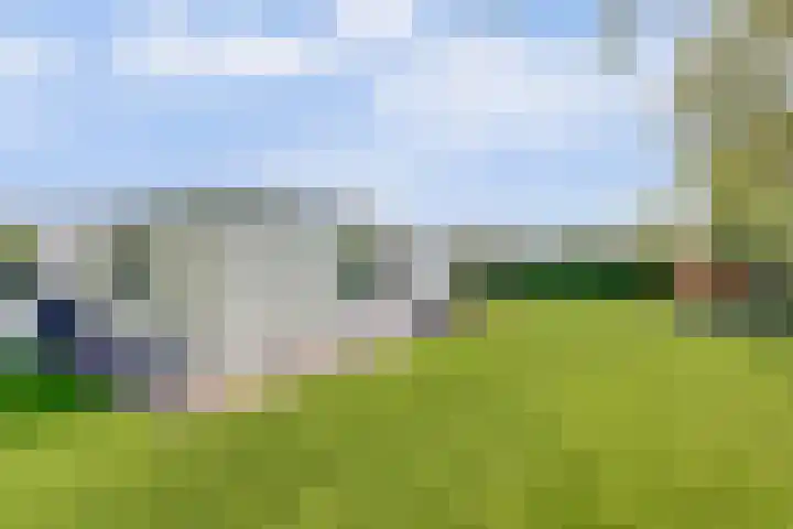 Beukenlaan 3 Kamperland thumbnail 13