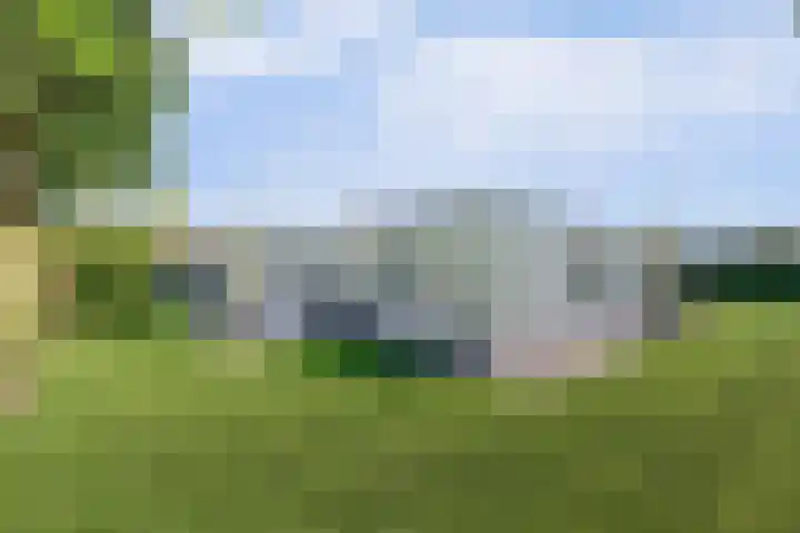Beukenlaan 3 Kamperland thumbnail 14