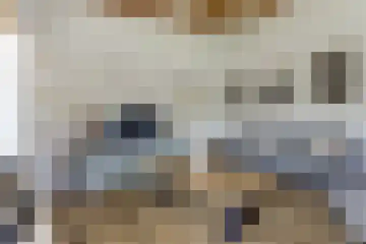 Beukenlaan 3 Kamperland thumbnail 17