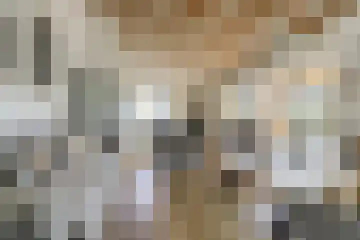Beukenlaan 3 Kamperland thumbnail 18