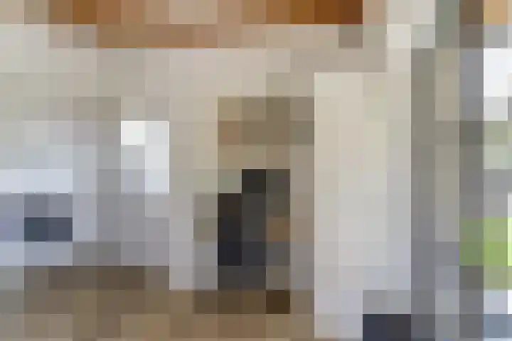 Beukenlaan 3 Kamperland thumbnail 21