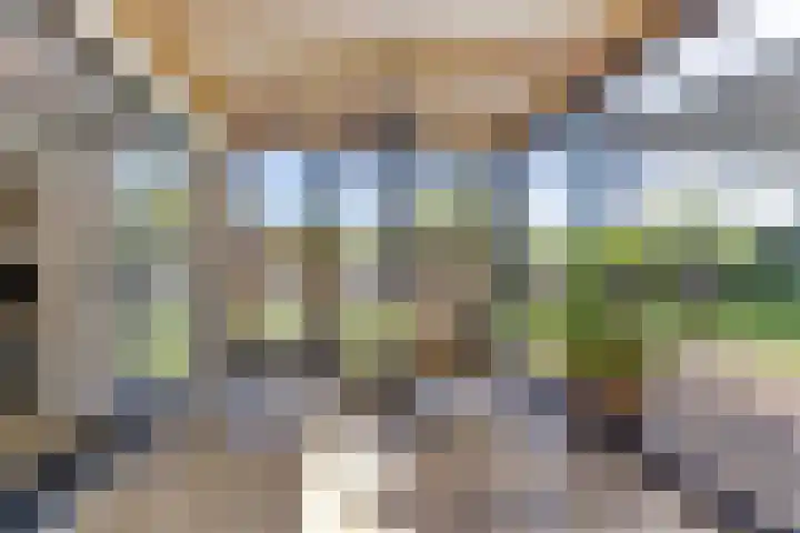 Beukenlaan 3 Kamperland thumbnail 26